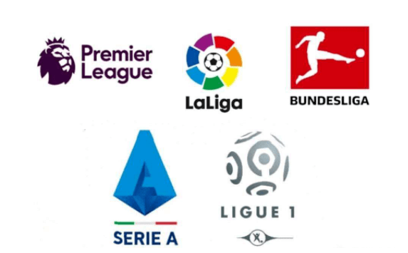 的重要组成 的重要组成